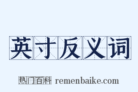 英寸反义词是什么意思的图片